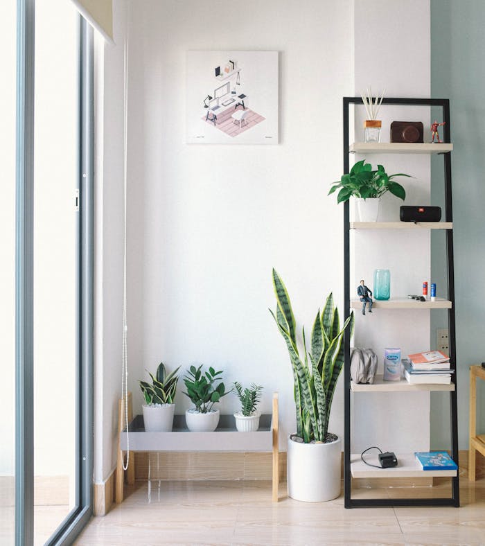 gallery-02